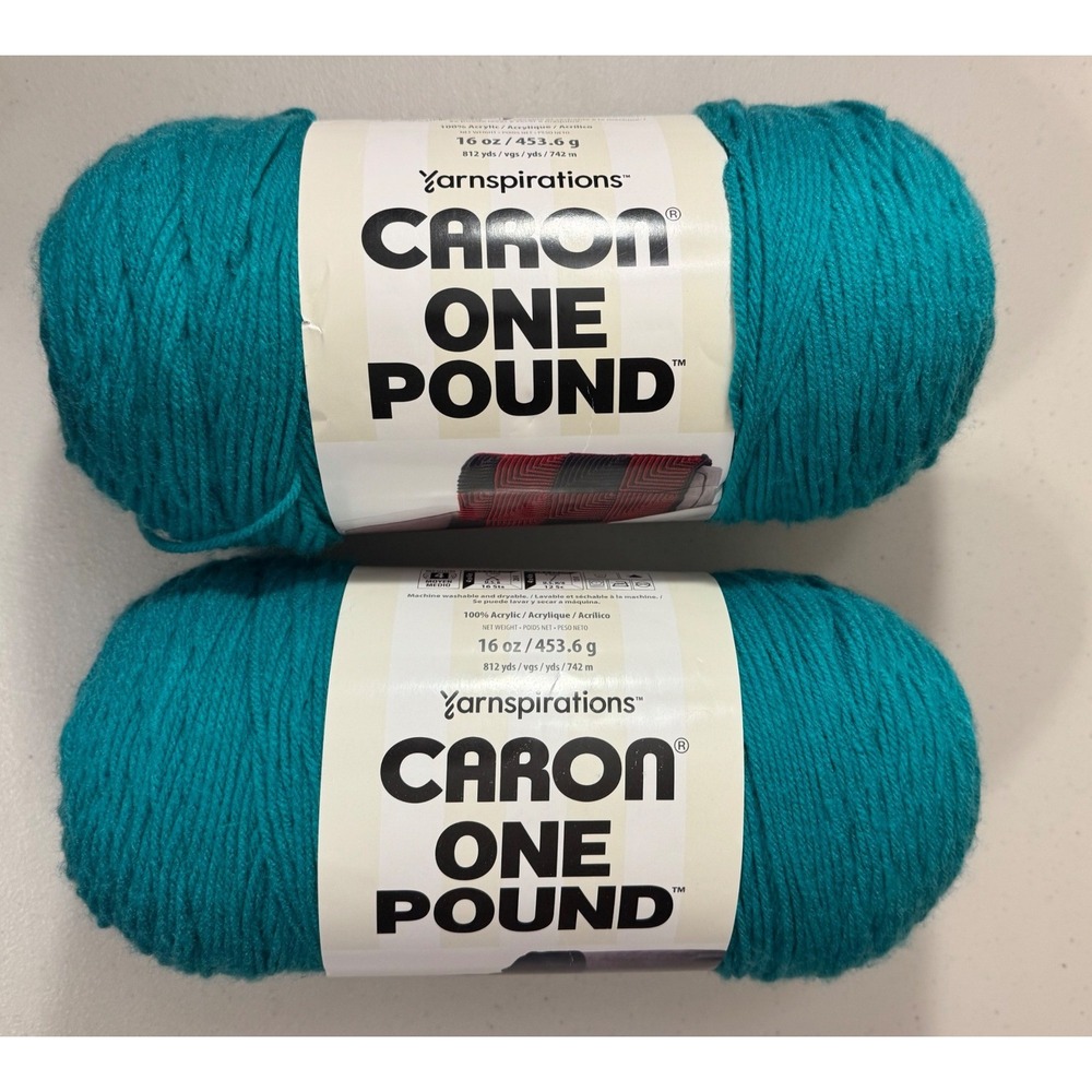 Caron One Pound Yarn 2pk Aqua 10622 Medium 4 Worsted Acrylic 16oz Skeins NEW
